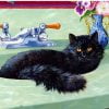 Black Cat In Bath Paint By Numbers