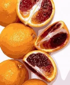Blood Orange Paint By Numbers