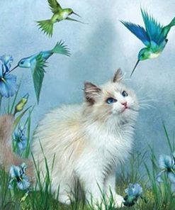Cat And Hummingbirds Paint By Numbers