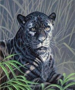 Black And White Jaguar Paint By Numbers