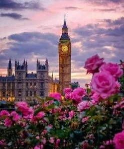 Peonies London Paint By Numbers