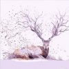 Resting Deer Animals Paint By Numbers