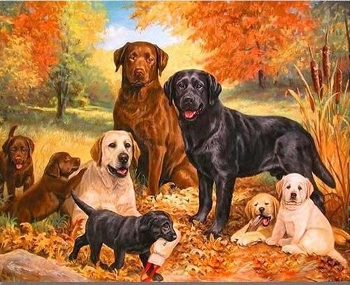 labrador paint by numbers