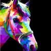 Colorful Horse Head Paint By Numbers