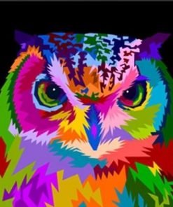 Colorful Owl Paint By Numbers