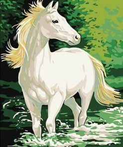 White Horse In Water Paint By Numbers