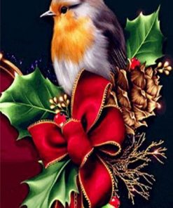 Christmas Robin Bird Paint By Numbers