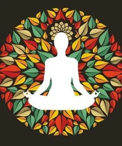 Lotus Chakra Paint By Numbers
