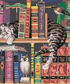 Cat On Bookshelf Paint By Numbers