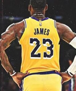 Lebron James Lakers Paint By Numbers