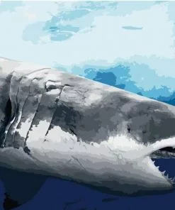 Great White Shark Paint By Numbers