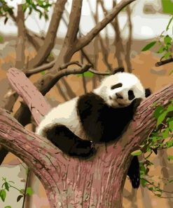 Panda On Tree Paint By Numbers
