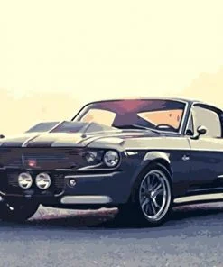 Ford Mustang Shelby Paint By Numbers