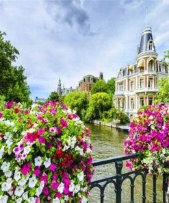 Floral Bridge Amsterdam Paint By Numbers