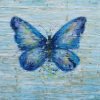 Common Blue Butterfly Paint By Numbers