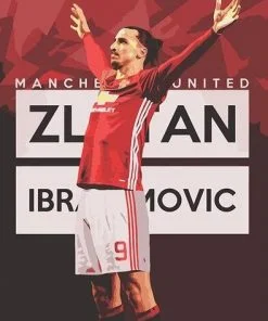 Zlantan Ibrahimovic Paint By Numbers