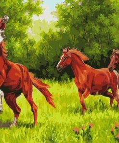 White Brown Horses Paint By Numbers