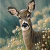 Fawn Deer Paint By Numbers