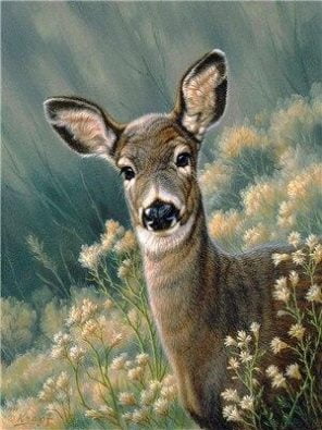 Fawn Deer Paint By Numbers
