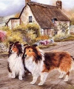 Shelties Dogs Paint By Numbers