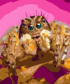 Pink Spider paint by numbers