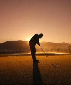 Golf Player Silhouette Paint By Numbers