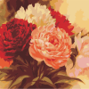 Blooming Peonies Paint By Numbers