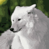 White Wolf Paint By Numbers