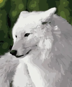 White Wolf Paint By Numbers