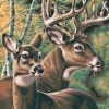 Deer Couple Paint By Numbers