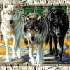 Three Wolves Paint By Numbers
