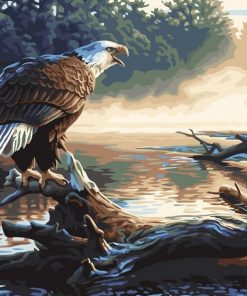 Hunter Eagle Paint By Numbers