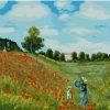 Poppies Claude Monet Paint By Numbers