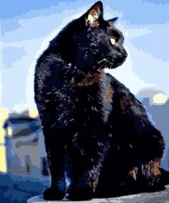 Black Cat Paint By Numbers