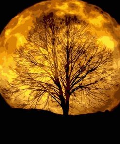 Night Moon Tree Paint By Numbers