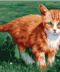 Little Orange Cat Paint By Numbers