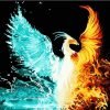 Fire And Ice Phoenix Paint By Numbers