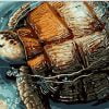 Sea Turtle in Water Paint By Numbers