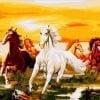Horses Herd Paint By Numbers