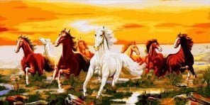 Herd of Horses - Animals Paint By Number - Numeral Paint