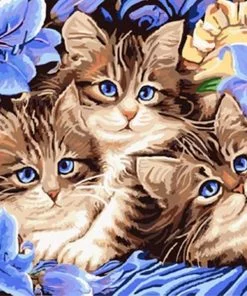Cats Animals - DIY Paint By Numbers - Numeral Paint