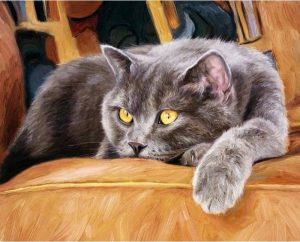 Cat On Couch Paint By Numbers - Numeral Paint Kit