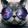 Cat With Galaxy Glasses Paint By Numbers