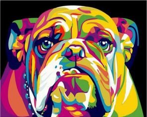 Pop Art Bulldog paint by numbers