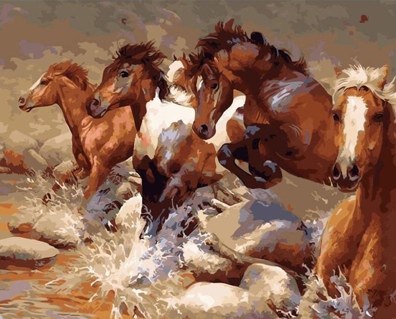 Running Horse - Animals Paint By Number - Numeral Paint