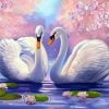 Swans On Lake Paint By Numbers