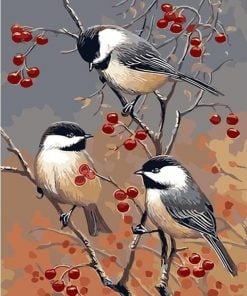 Chickadee Birds Paint By Numbers