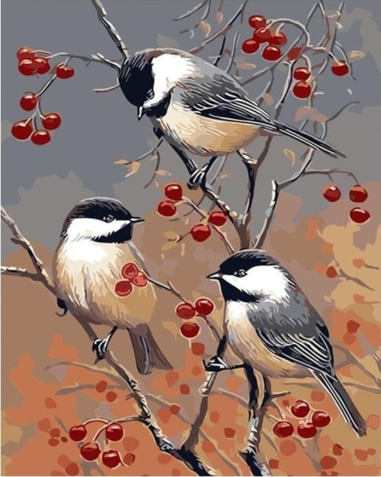 Chickadee Birds Paint By Numbers