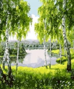 Nature Trees Paint By Numbers