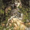 Grey Wolves Paint By Numbers